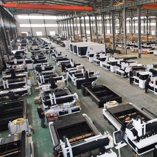 Macchina da taglio laser in fibra con macchina da taglio laser in fibra 3015 3kw